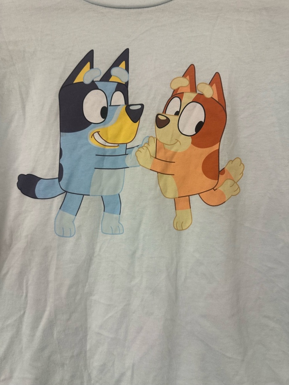 Bluey & Bingo Dancing Sister T-shirt Kids XL 14-16 Children’s Tee Blue Top - Picture 2 of 8